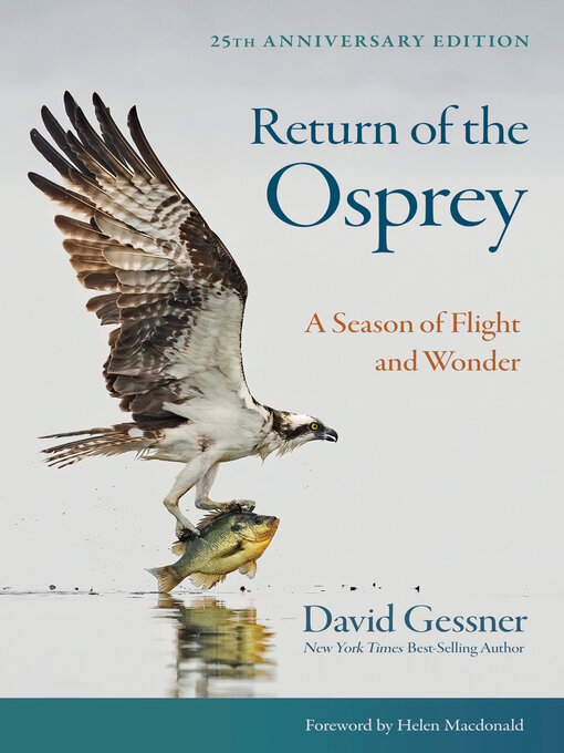 Title details for Return of the Osprey by David Gessner - Wait list